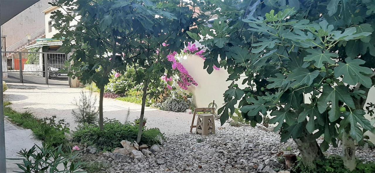Figos Apartament